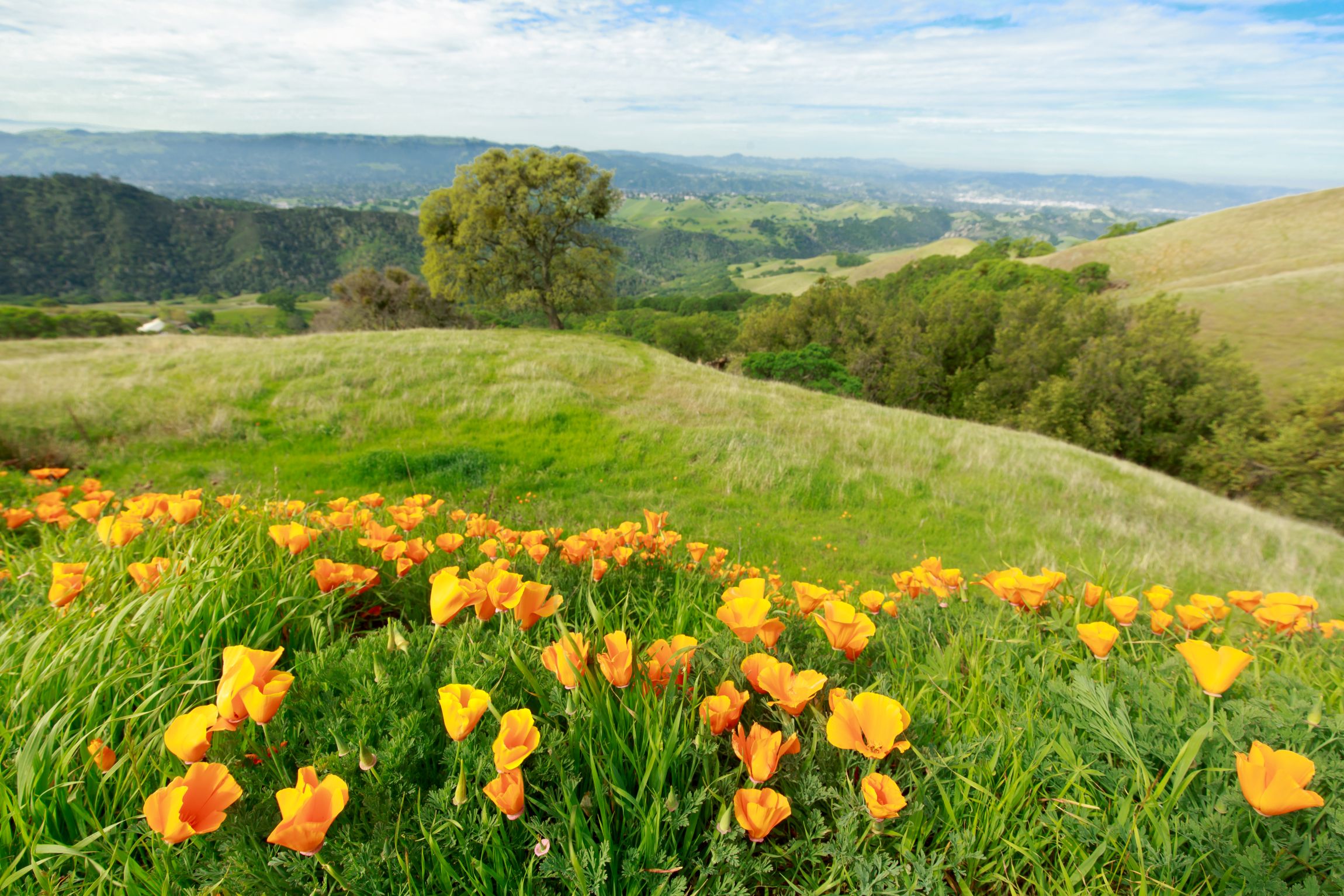 Contra Costa County